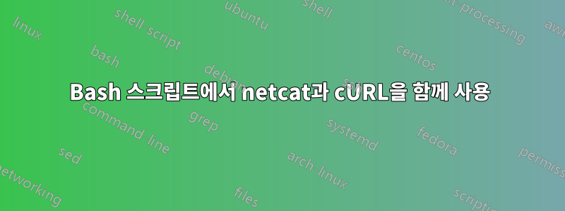 Bash 스크립트에서 netcat과 cURL을 함께 사용
