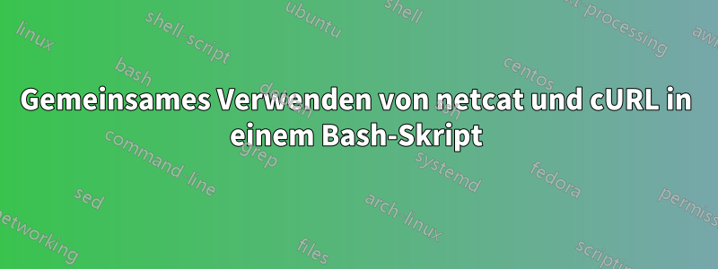 Gemeinsames Verwenden von netcat und cURL in einem Bash-Skript