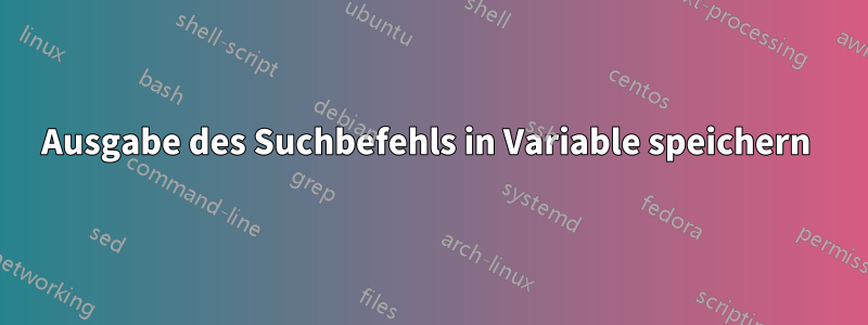 Ausgabe des Suchbefehls in Variable speichern 