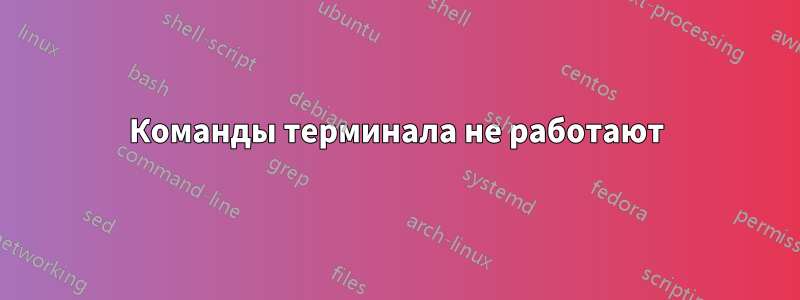 Команды терминала не работают