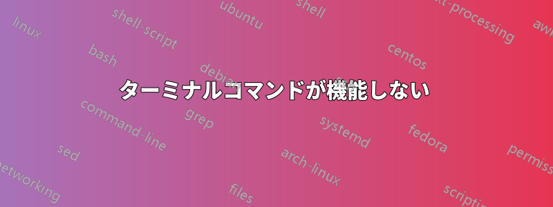 ターミナルコマンドが機能しない