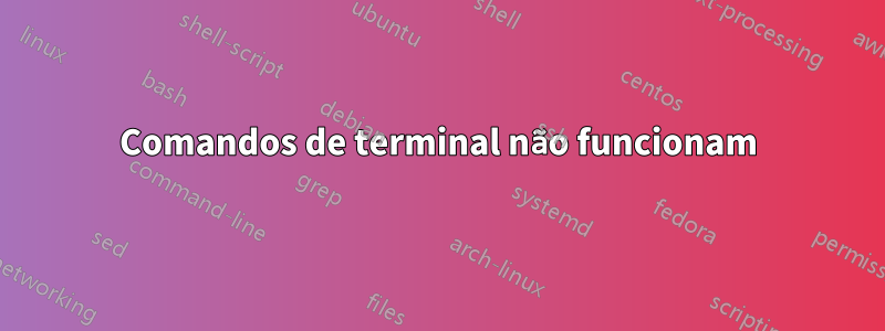 Comandos de terminal não funcionam