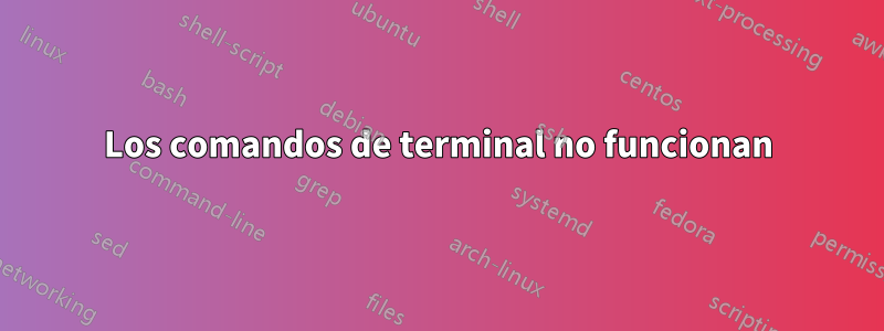 Los comandos de terminal no funcionan
