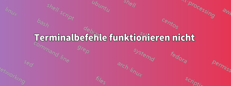 Terminalbefehle funktionieren nicht