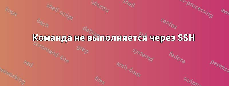 Команда не выполняется через SSH