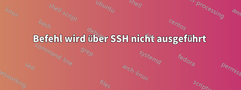 Befehl wird über SSH nicht ausgeführt