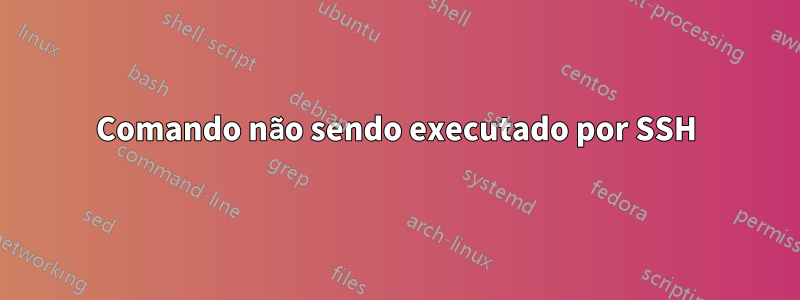 Comando não sendo executado por SSH