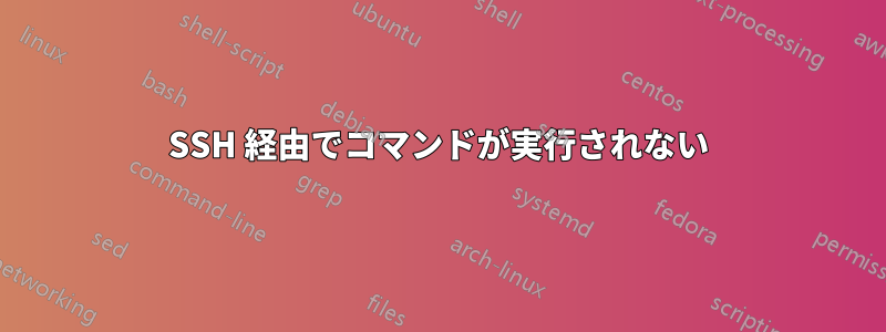 SSH 経由でコマンドが実行されない