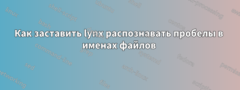 Как заставить lynx распознавать пробелы в именах файлов