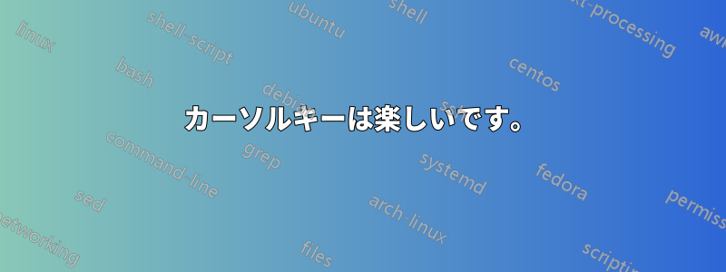 カーソルキーは楽しいです。