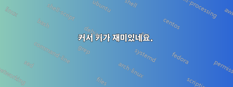 커서 키가 재미있네요.