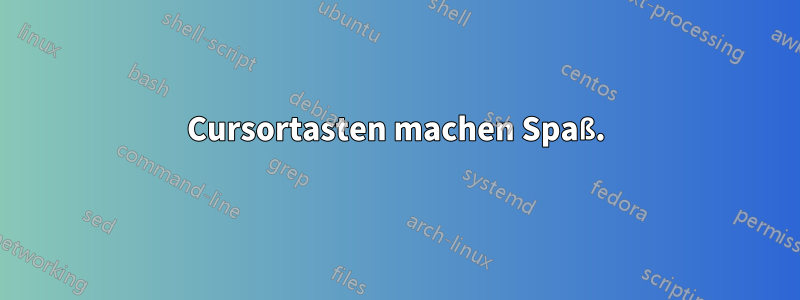 Cursortasten machen Spaß.