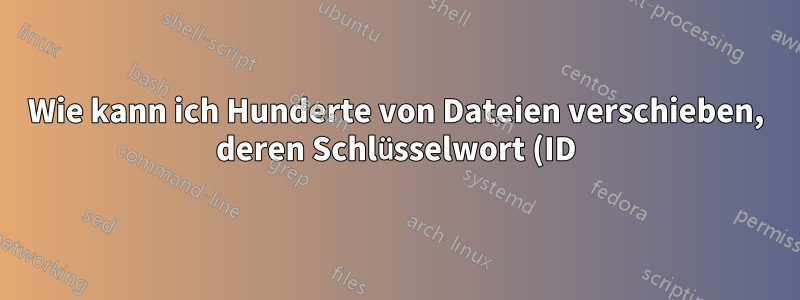 Wie kann ich Hunderte von Dateien verschieben, deren Schlüsselwort (ID) ihrer Dateinamen in einer Textdatei aufgeführt sind?