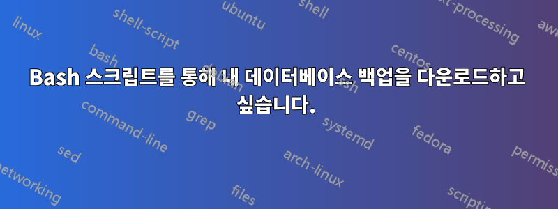 Bash 스크립트를 통해 내 데이터베이스 백업을 다운로드하고 싶습니다.