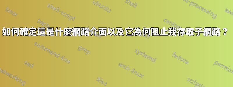 如何確定這是什麼網路介面以及它為何阻止我存取子網路？ 