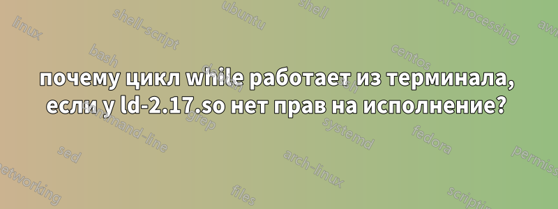 почему цикл while работает из терминала, если у ld-2.17.so нет прав на исполнение?