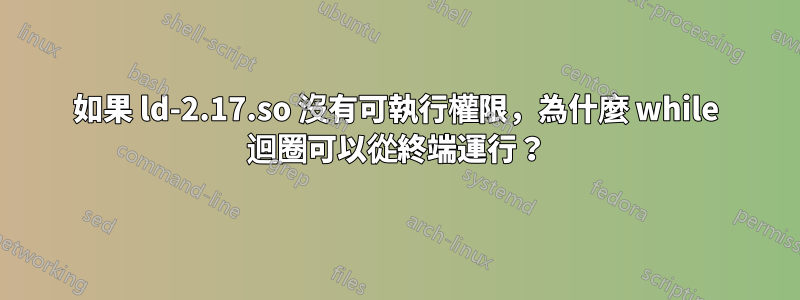 如果 ld-2.17.so 沒有可執行權限，為什麼 while 迴圈可以從終端運行？