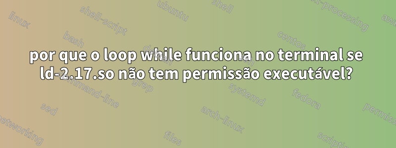 por que o loop while funciona no terminal se ld-2.17.so não tem permissão executável?