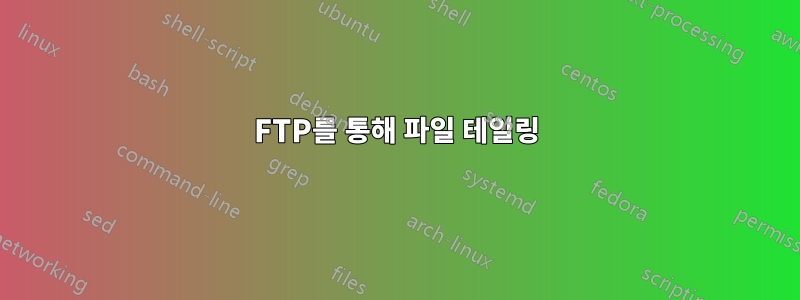 FTP를 통해 파일 테일링