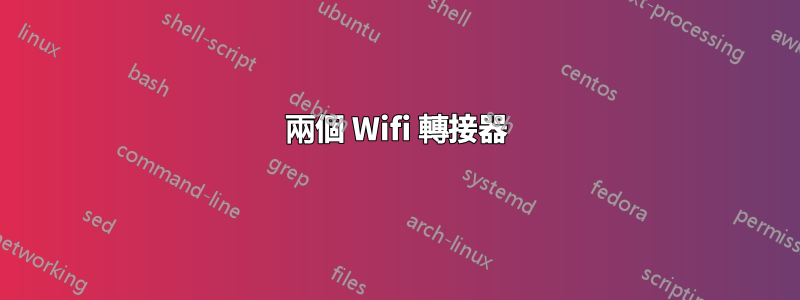 兩個 Wifi 轉接器