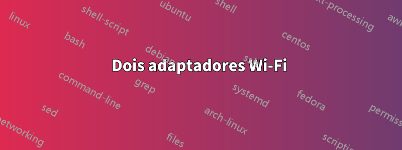 Dois adaptadores Wi-Fi
