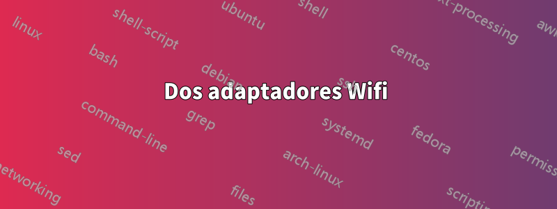 Dos adaptadores Wifi