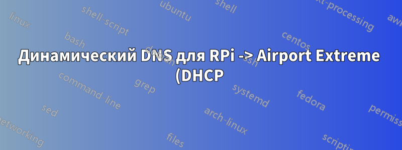 Динамический DNS для RPi -> Airport Extreme (DHCP) -> Кабельный модем (DHCP) -> Интернет