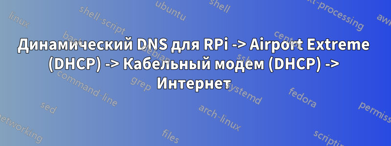 Динамический DNS для RPi -> Airport Extreme (DHCP) -> Кабельный модем (DHCP) -> Интернет