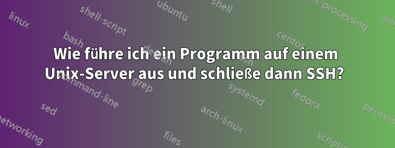 Wie führe ich ein Programm auf einem Unix-Server aus und schließe dann SSH? 