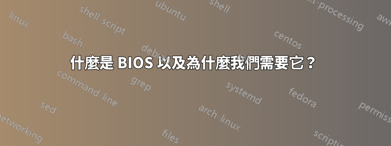 什麼是 BIOS 以及為什麼我們需要它？