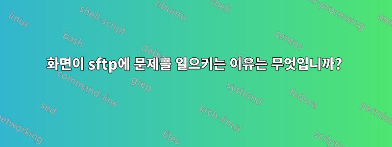 화면이 sftp에 문제를 일으키는 이유는 무엇입니까?