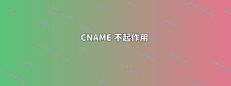 CNAME 不起作用