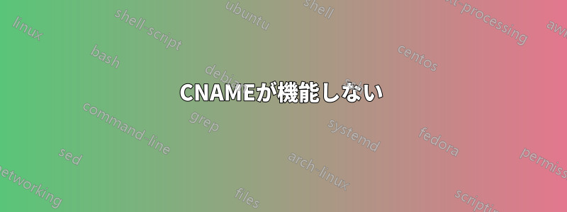 CNAMEが機能しない
