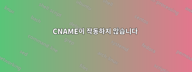 CNAME이 작동하지 않습니다