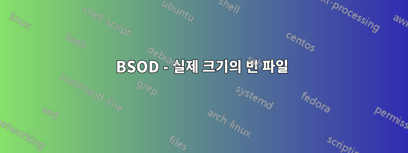 BSOD - 실제 크기의 빈 파일