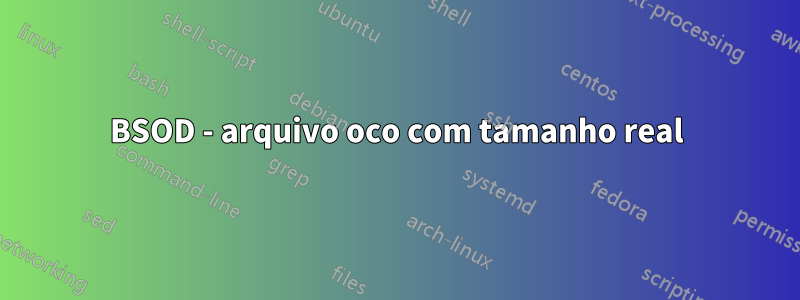 BSOD - arquivo oco com tamanho real