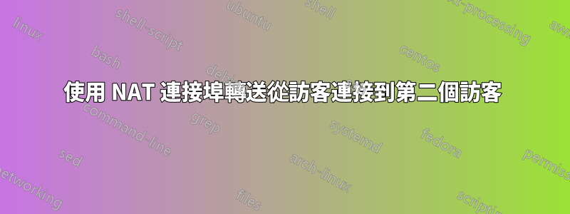 使用 NAT 連接埠轉送從訪客連接到第二個訪客