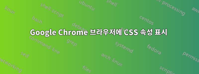 Google Chrome 브라우저에 CSS 속성 표시