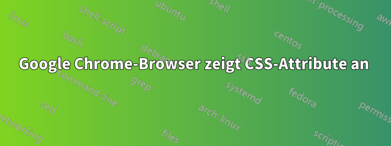 Google Chrome-Browser zeigt CSS-Attribute an