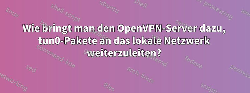 Wie bringt man den OpenVPN-Server dazu, tun0-Pakete an das lokale Netzwerk weiterzuleiten?