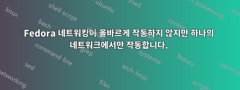 Fedora 네트워킹이 올바르게 작동하지 않지만 하나의 네트워크에서만 작동합니다.
