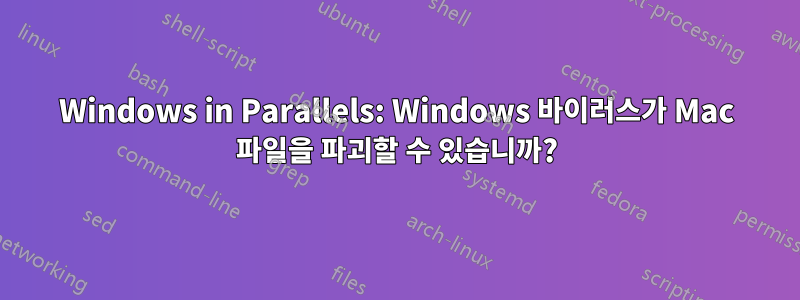 Windows in Parallels: Windows 바이러스가 Mac 파일을 파괴할 수 있습니까?