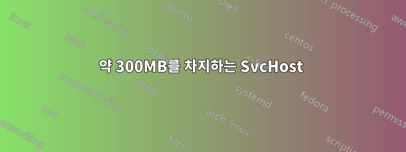 약 300MB를 차지하는 SvcHost