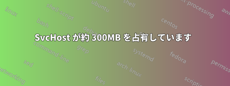 SvcHost が約 300MB を占有しています 