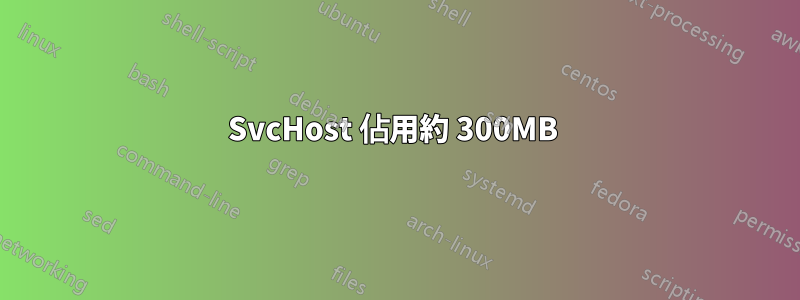 SvcHost 佔用約 300MB 