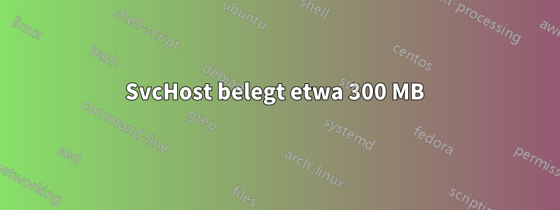 SvcHost belegt etwa 300 MB 