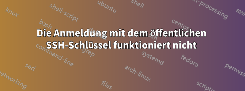 Die Anmeldung mit dem öffentlichen SSH-Schlüssel funktioniert nicht