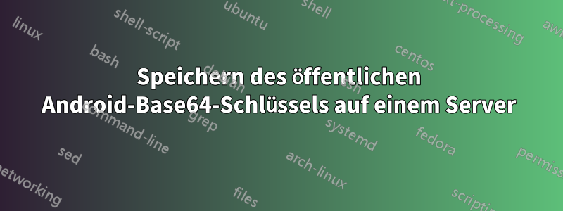 Speichern des öffentlichen Android-Base64-Schlüssels auf einem Server