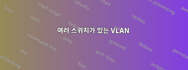 여러 스위치가 있는 VLAN