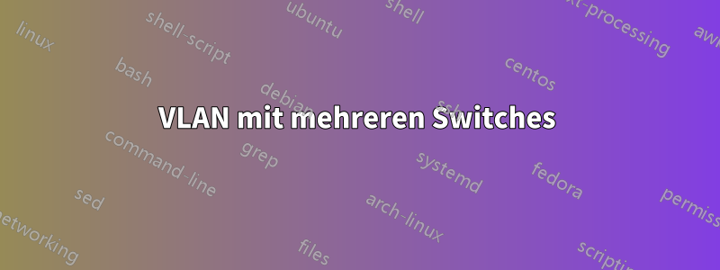 VLAN mit mehreren Switches